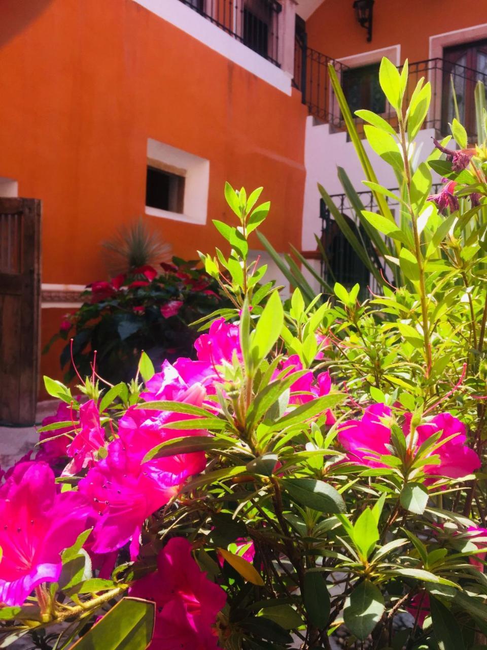 Casa Pozo Del Rayo Hotel Boutique Dolores Hidalgo Kültér fotó
